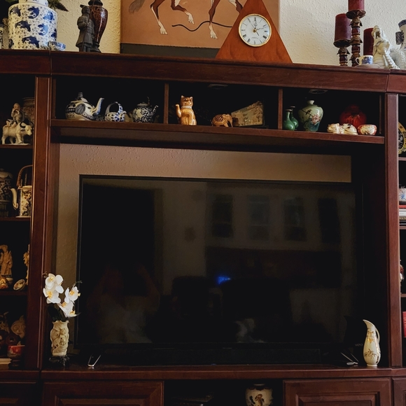 Meet your Posher, Carol - Picture 9 of 10